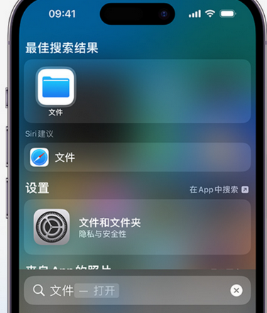 紫云apple维修中心分享iPhone文件应用中存储和找到下载文件 