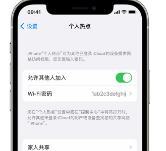 紫云apple服务站点分享iPhone上个人热点丢失了怎么办 