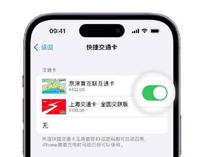 紫云apple维修点分享iPhone上更换Apple Pay快捷交通卡手绘卡面 