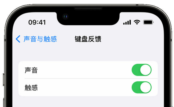 紫云苹果手机维修分享iPhone 14触感键盘使用方法 