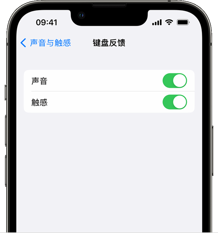 紫云苹果14维修店分享如何在 iPhone 14 机型中使用触感键盘 