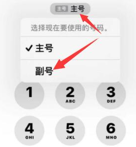 紫云苹果14维修店分享iPhone 14 Pro Max使用副卡打电话的方法 