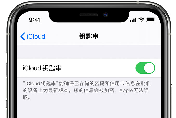 紫云苹果手机维修分享在 iPhone 上开启 iCloud 钥匙串之后会储存哪些信息 